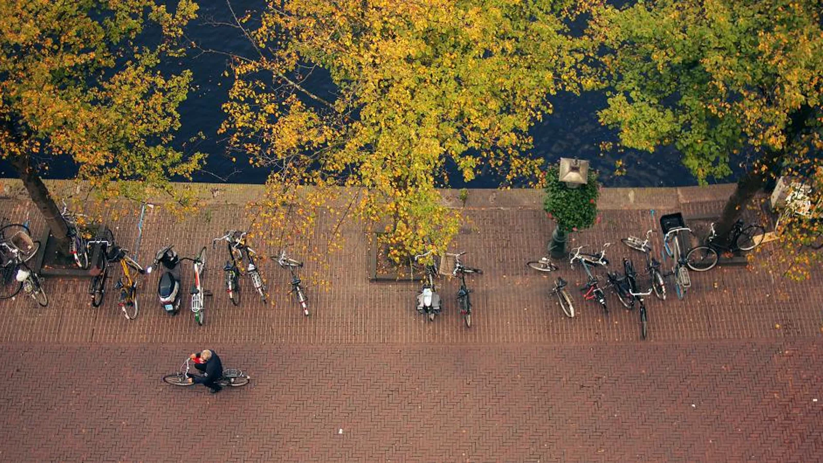 Abgestellte Fahrräder unter Herbstbäumen